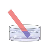 Bracton Test Paper 200Pk 